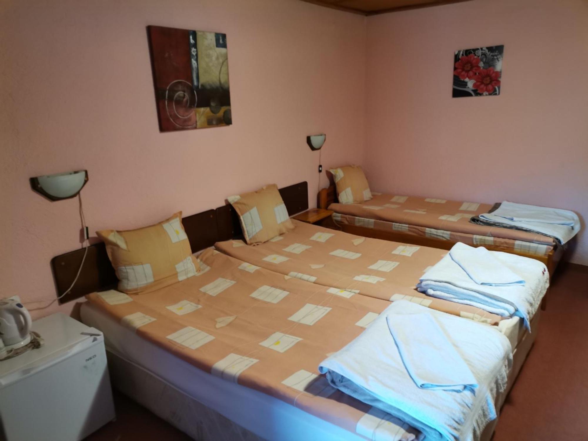 Family Hotel Santo Bansko Esterno foto