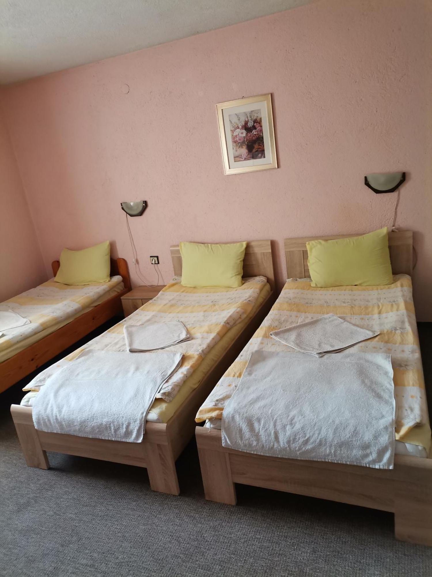 Family Hotel Santo Bansko Esterno foto