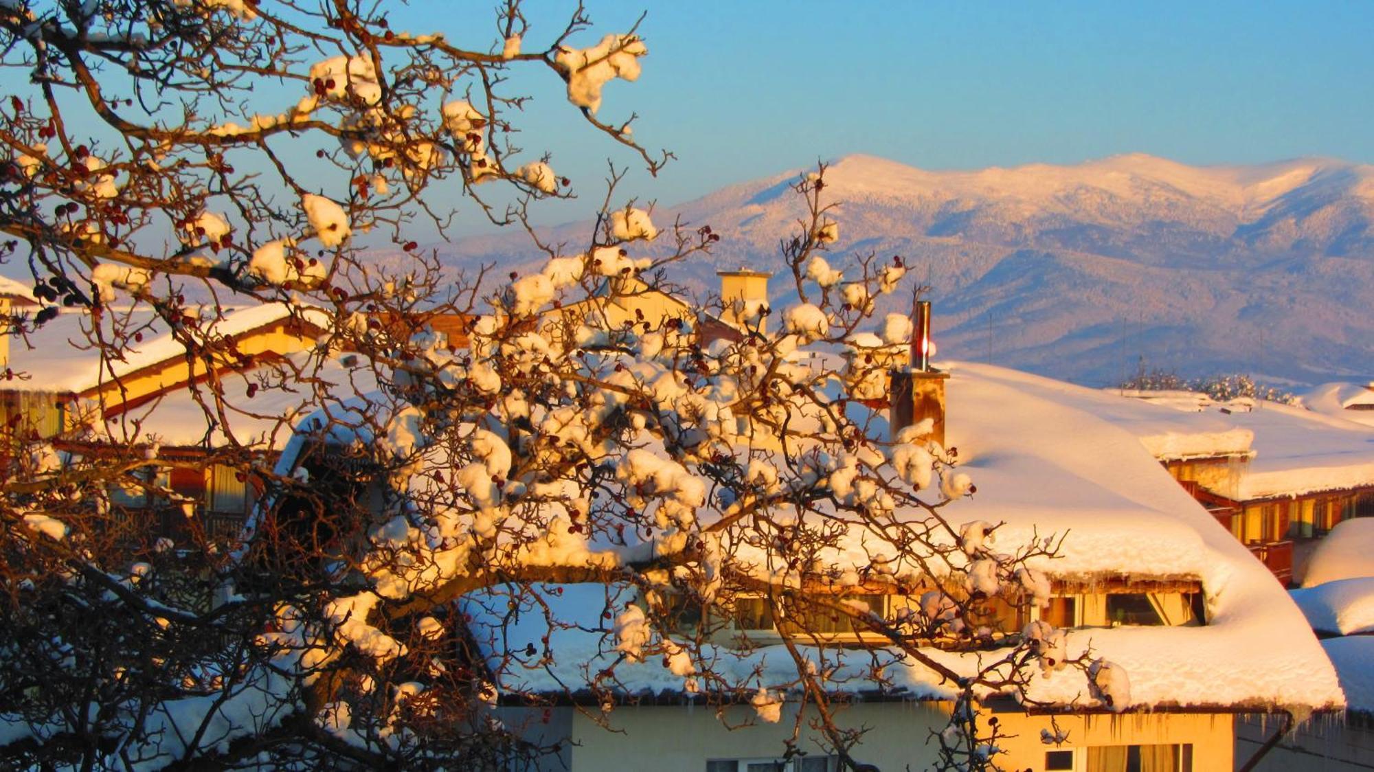 Family Hotel Santo Bansko Esterno foto